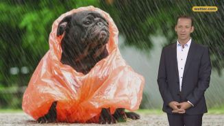 Das Wetter in Deutschland am 09. September 2017